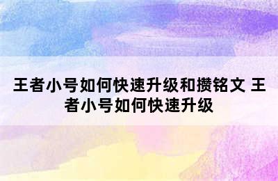 王者小号如何快速升级和攒铭文 王者小号如何快速升级